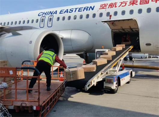 图片21